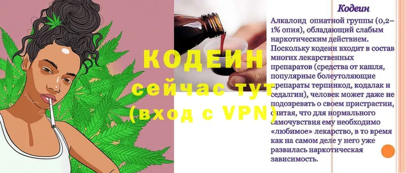 Codein Purple Drank  кракен вход  Краснодар 